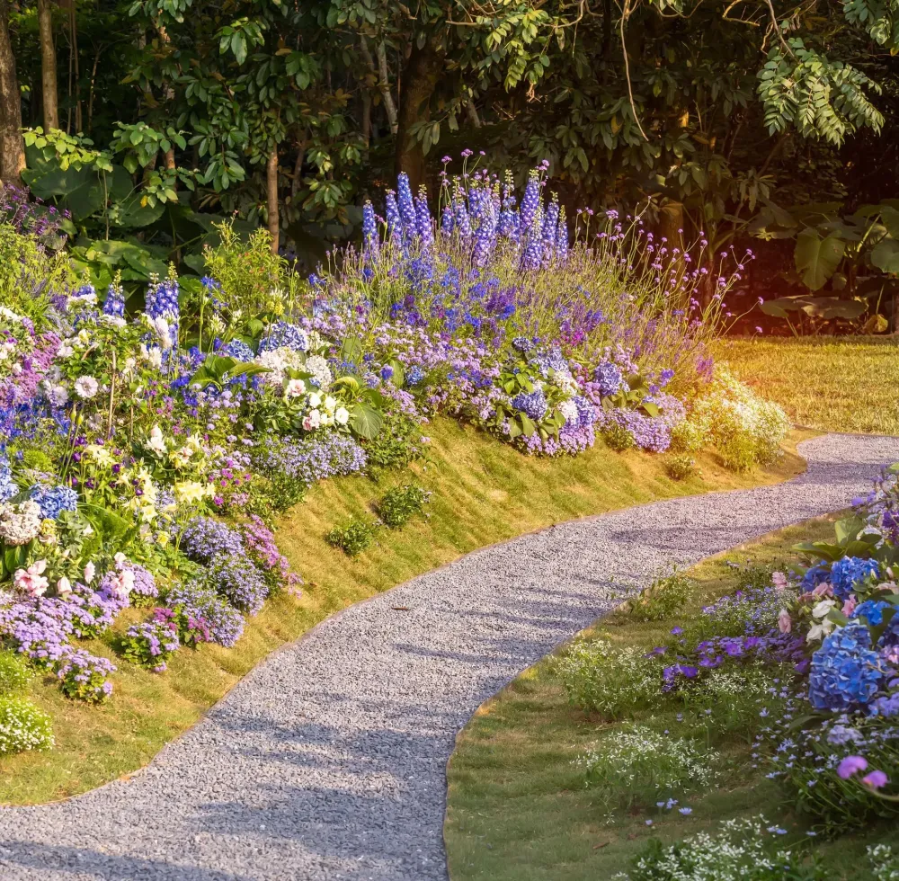 Chemin de fleurs